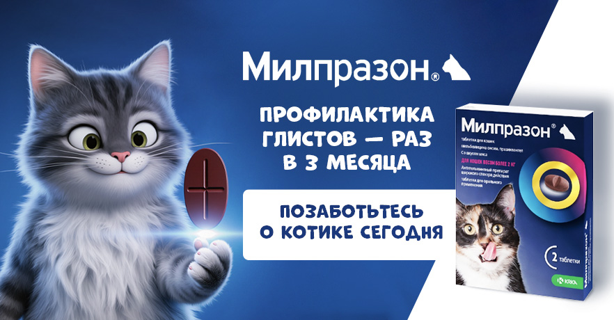 Таблетки Милпразон от глистов купить Минск